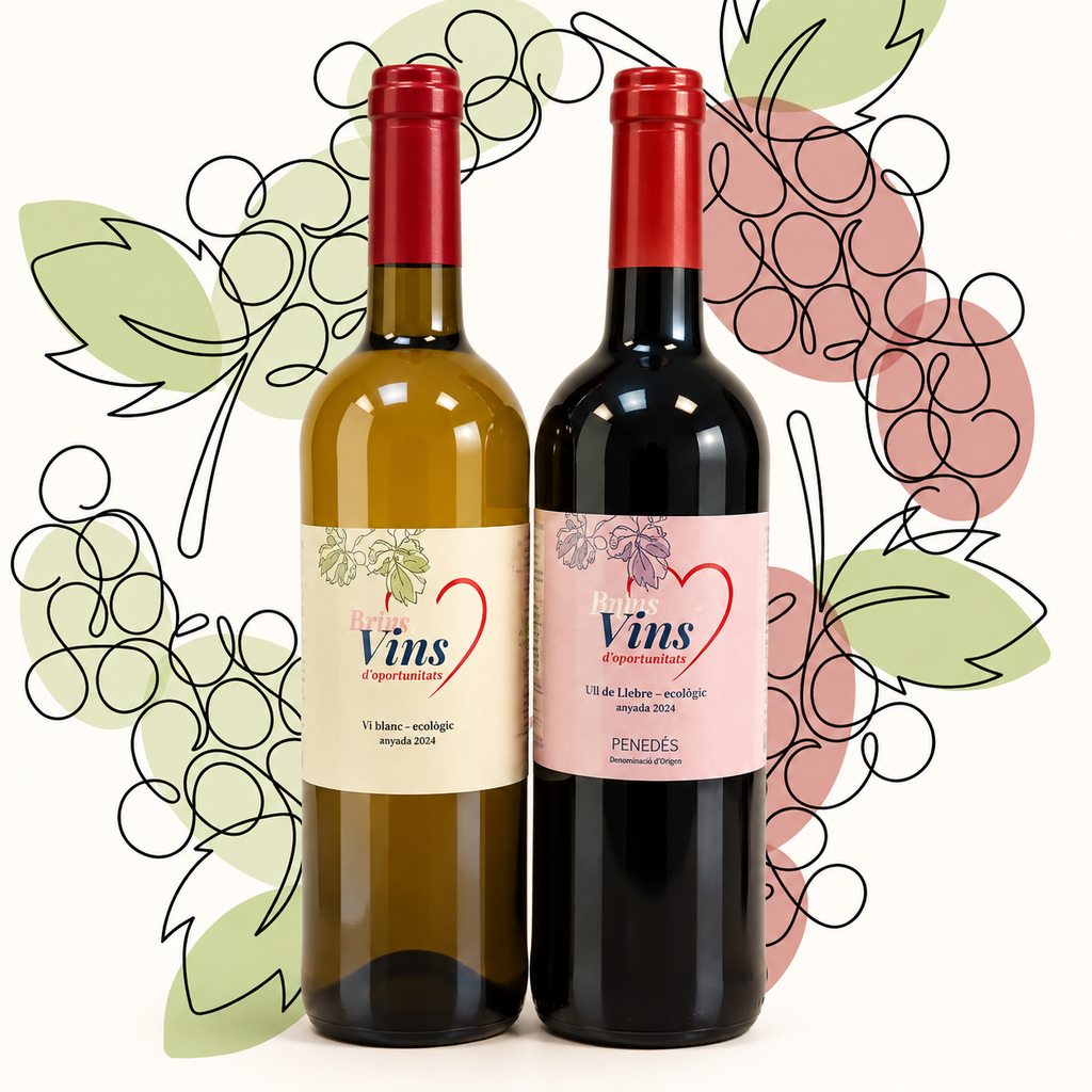 Pack of two bottles of organic wine (white+red)