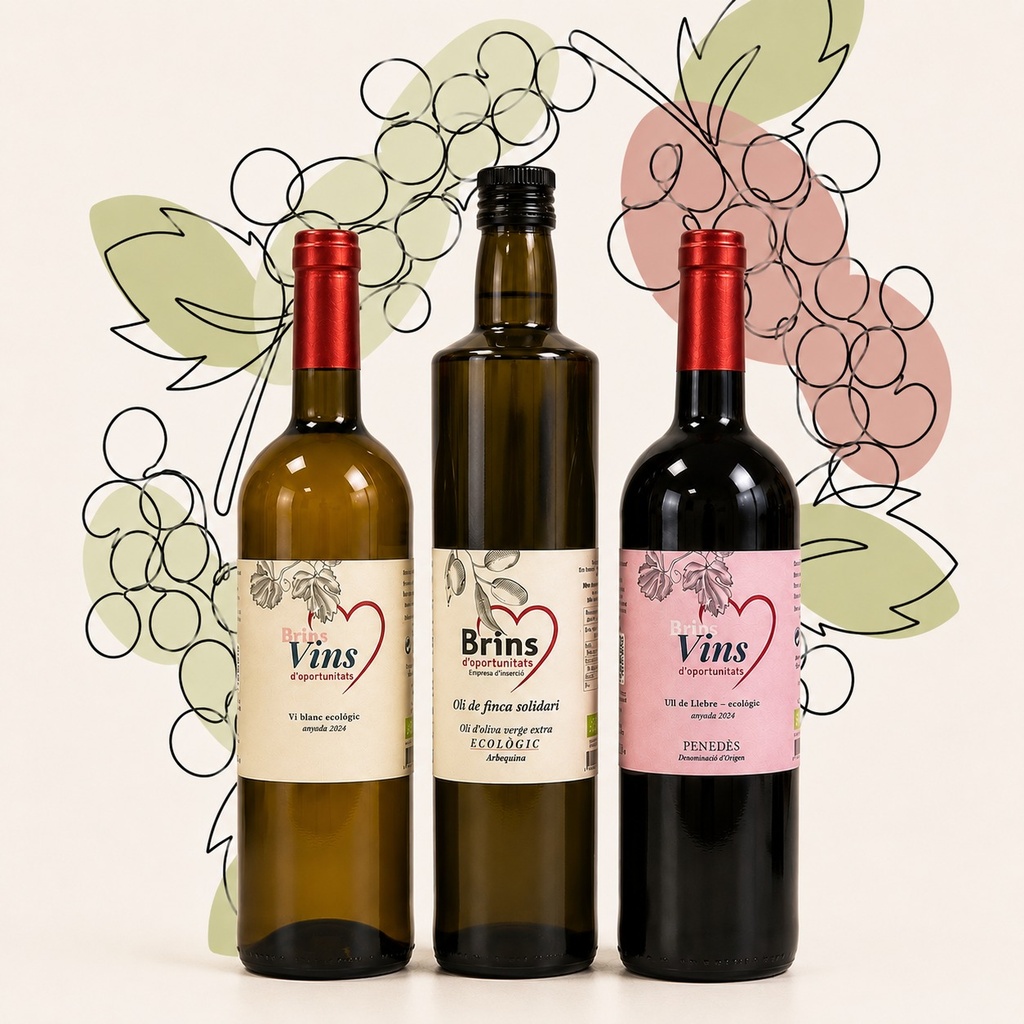 Pack de dos botellas de Vino Brins variadas + Botella de aceite ecológico